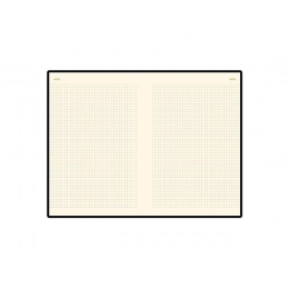 Ежедневник недатированный А5 «Metropol»