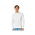 Men's sweatshirt 