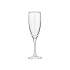 Flute Champagne Glass
