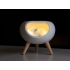 LED night light 