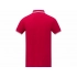 Amarago men's polo shirt