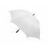 Umbrella-cane 
