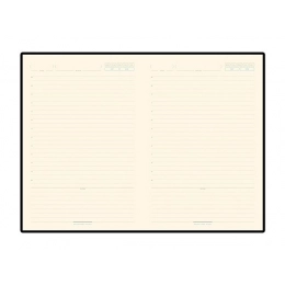 Ежедневник недатированный А5 «Bridge»