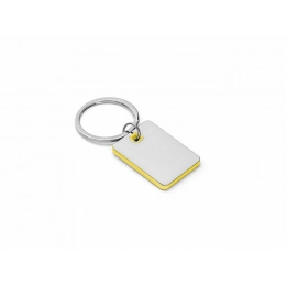 Metal and ABS keychain 