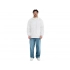 Men's windbreaker 