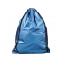 The Oriole backpack is shiny