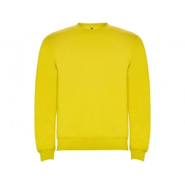 Sweatshirt with fleece 