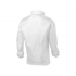 Men's windbreaker 