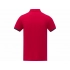 Morgan men's polo shirt