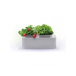 Compact smart garden 
