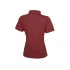 Calgary women's polo shirt