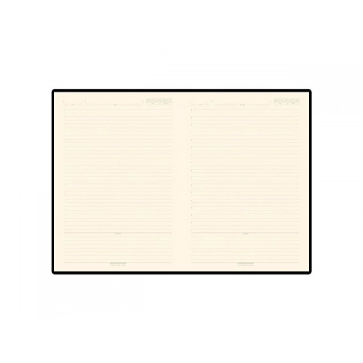 
                                                Undated daily planner B5 