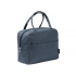 Volt isothermal plastic cooler bag.