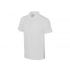 Chicago men's polo shirt