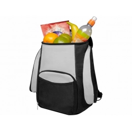 Backpack refrigerator 