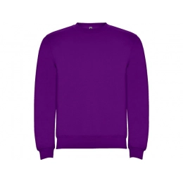 Sweatshirt with fleece 