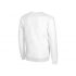 Men's sweatshirt 