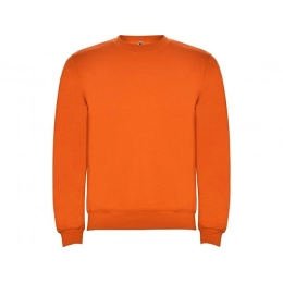 Sweatshirt with fleece 