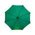 Umbrella-cane 