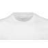 Unisex raglan sleeve 