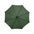 Umbrella-cane 
