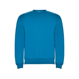 Sweatshirt with fleece 