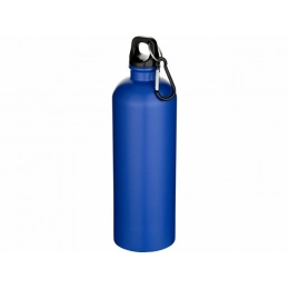 Oregon stainless steel water bottle with carabiner, 750 ml.