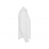 Oxford long sleeve shirt, women's