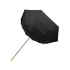 Umbrella-cane 