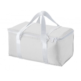 Cooler bag 