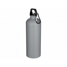 Water bottle with carabiner 