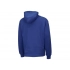Unisex hoodie with hood 