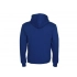 Men's hooded sweatshirt 