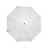 Umbrella-cane 