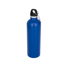 Vacuum bottle 