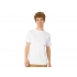 Men's premium cotton 
