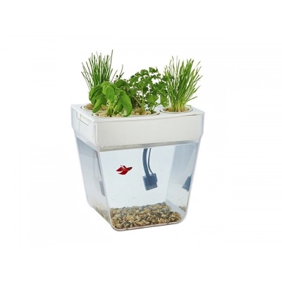 
                                                Kit for growing plants and caring for fish 