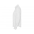 Oxford long sleeve shirt, women's
