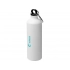 Pacific bottle with carabiner, matte