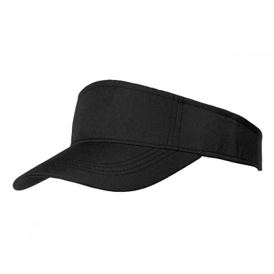 
                                                The visor 