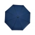 Umbrella-cane 