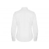 Oxford long sleeve shirt, women's