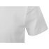 Chicago men's polo shirt