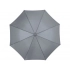 Umbrella-cane 