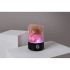 LED night light 
