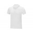 Men's polo shirt 