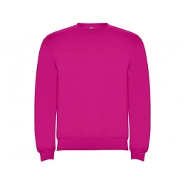 Sweatshirt with fleece 