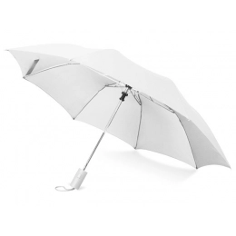 Folding umbrella 