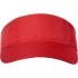 The visor 