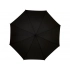 Umbrella-cane 